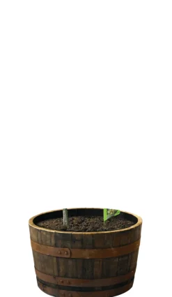 Scan-Pot Whiskytønne Ø64 cm | Krukker|Plantebord & Høybed