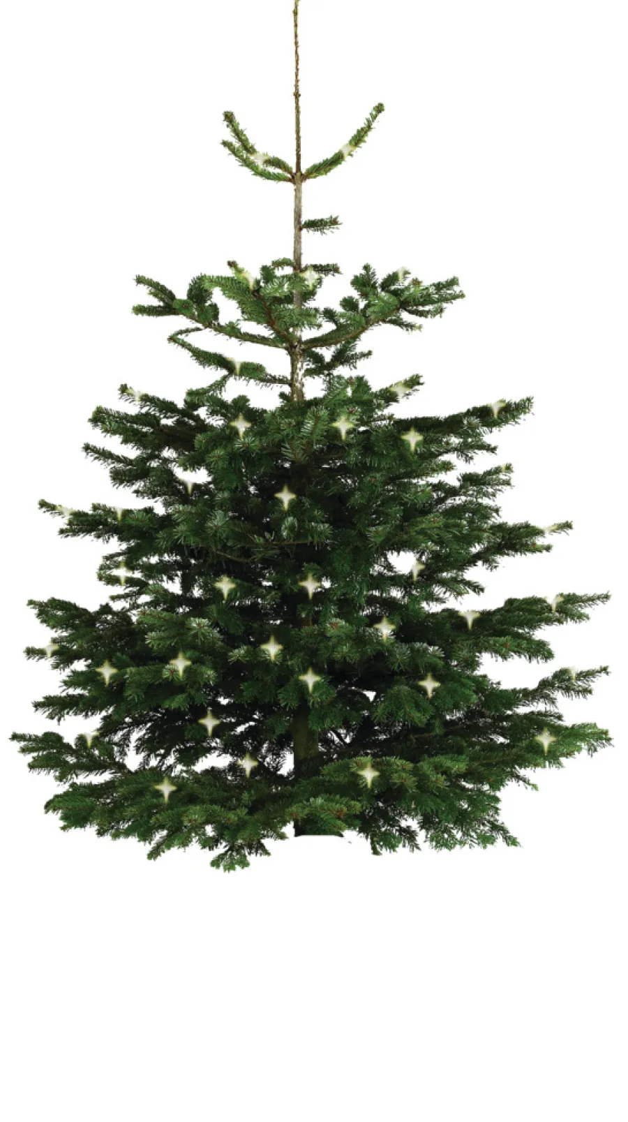 Scan-Pot Whiskytønne Ø64 cm | Krukker|Plantebord & Høybed